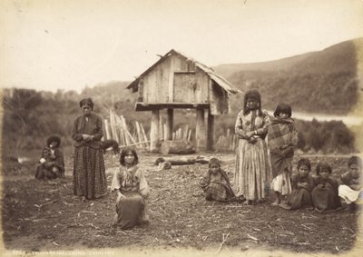 Taumaranui - King Country, 29 de mayo de 1885 (impresión de albúmina) de Alfred Burton